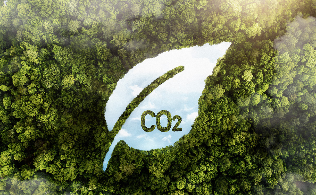 co2-taxe-carbone-arbres