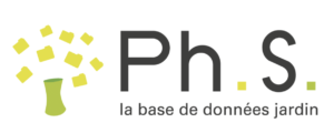 logo-phs