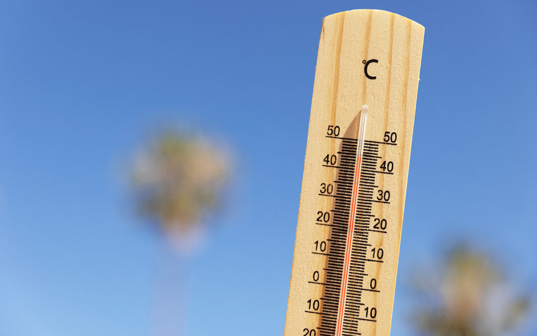 Sécheresse, températures… Météo France a fait le bilan de l’année : voici ce qu’il faut en retenir