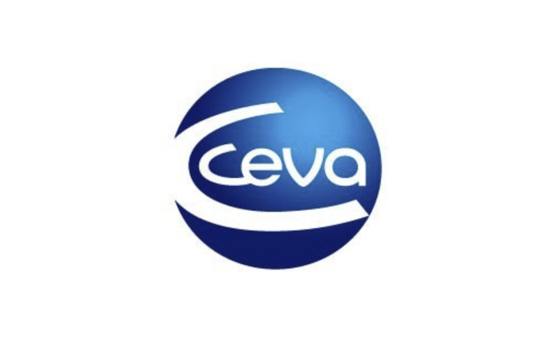 Ceva Santé Animale lance un gilet relaxant pour chiens !