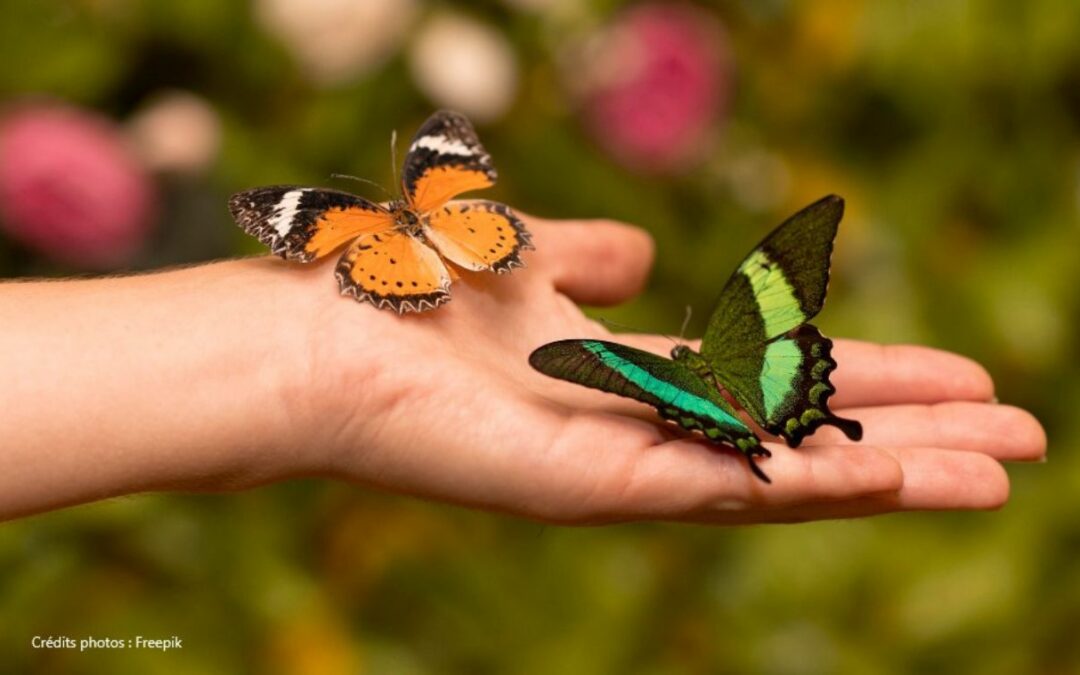 Espèces exotiques envahissantes : une menace pour la biodiversité