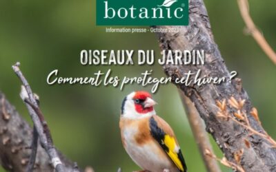 Botanic : nouvelles solutions pour accueillir les oiseaux du jardin