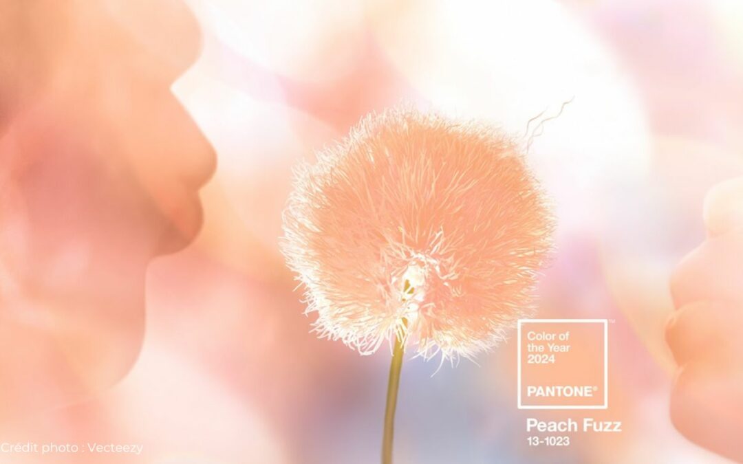 Pantone présente la Pantone Color of the Year 2024 : PANTONE Peach Fuzz 13-1023