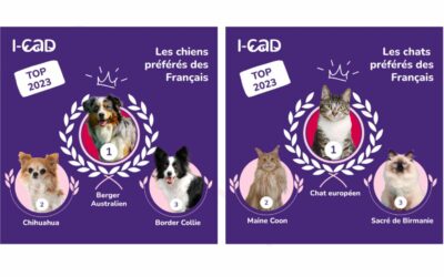 I-CAD dévoile le classement des chiens et des chats préférés des Français en 2023