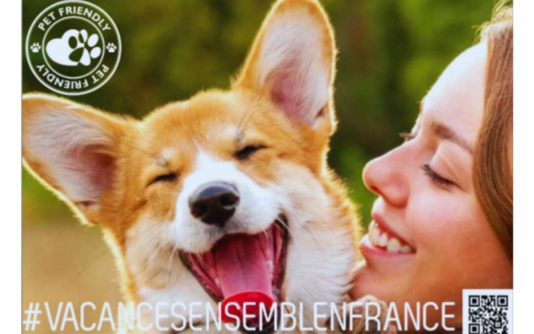 Vacances ensemble en France, partir avec son chien