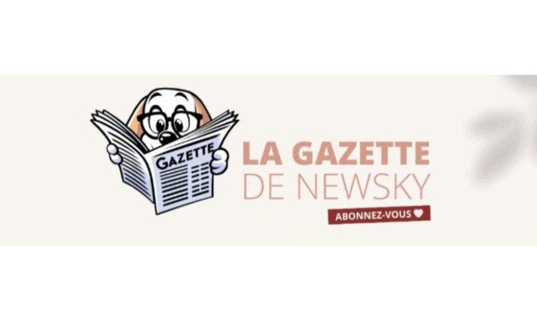 La gazette de Newsky :  un pêle-mêle d’infos au poil