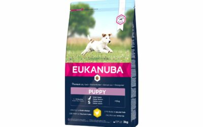 Les croquettes Eukanuba contribuent à la bonne hygiène bucco-dentaire du Chien