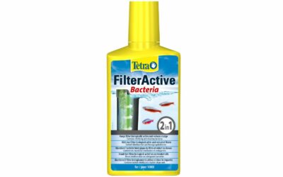 Tetra FilterActive agit pour une eau plus saine et claire