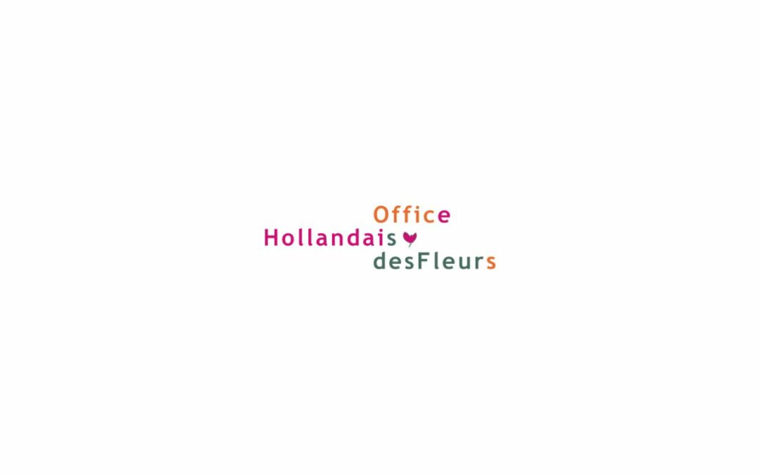 Office Hollandais des Fleurs centralise ses opérations aux Pays-Bas