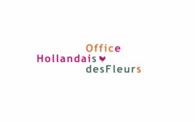 Office Hollandais des Fleurs centralise ses opérations aux Pays-Bas