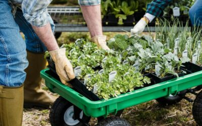 Reconnaissance Client : Où en est le secteur jardinage ?