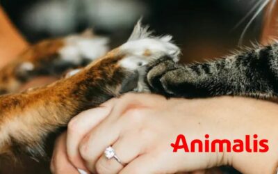 Animalis et Paaw encourage une adoption responsable